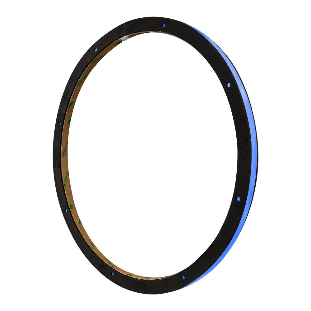 12" RGB LED Ring for Loudspeakers, Speakers and Subwoofers. - DS18