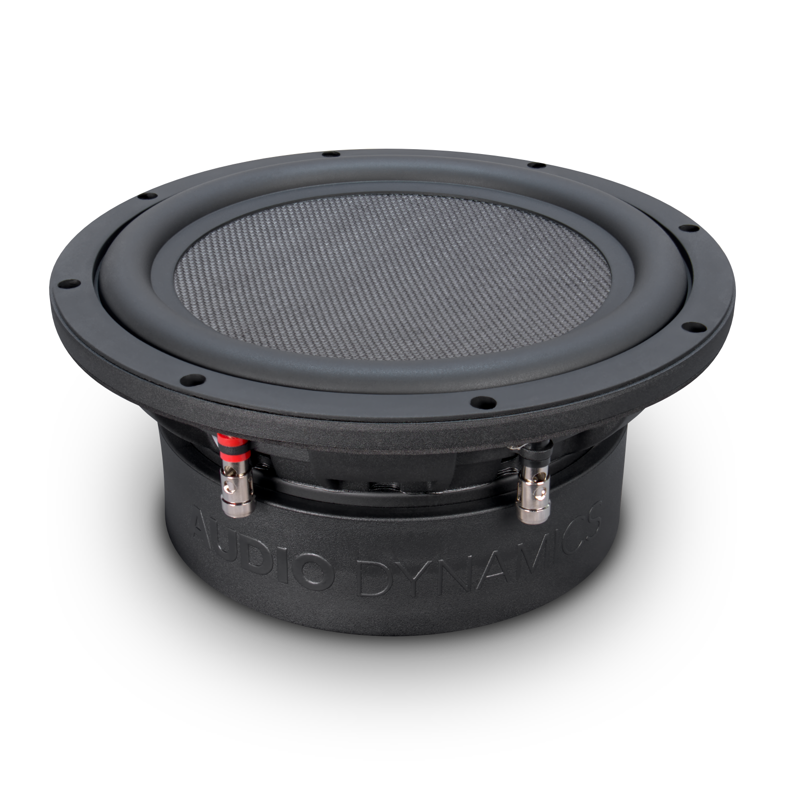 M10 - Master Series 10" Subwoofer