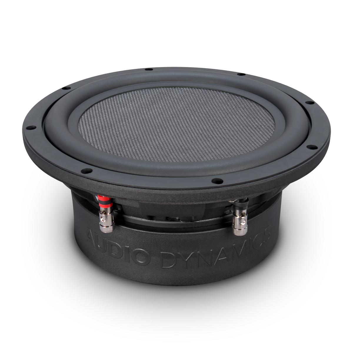 M10 - Master Series 10" Subwoofer