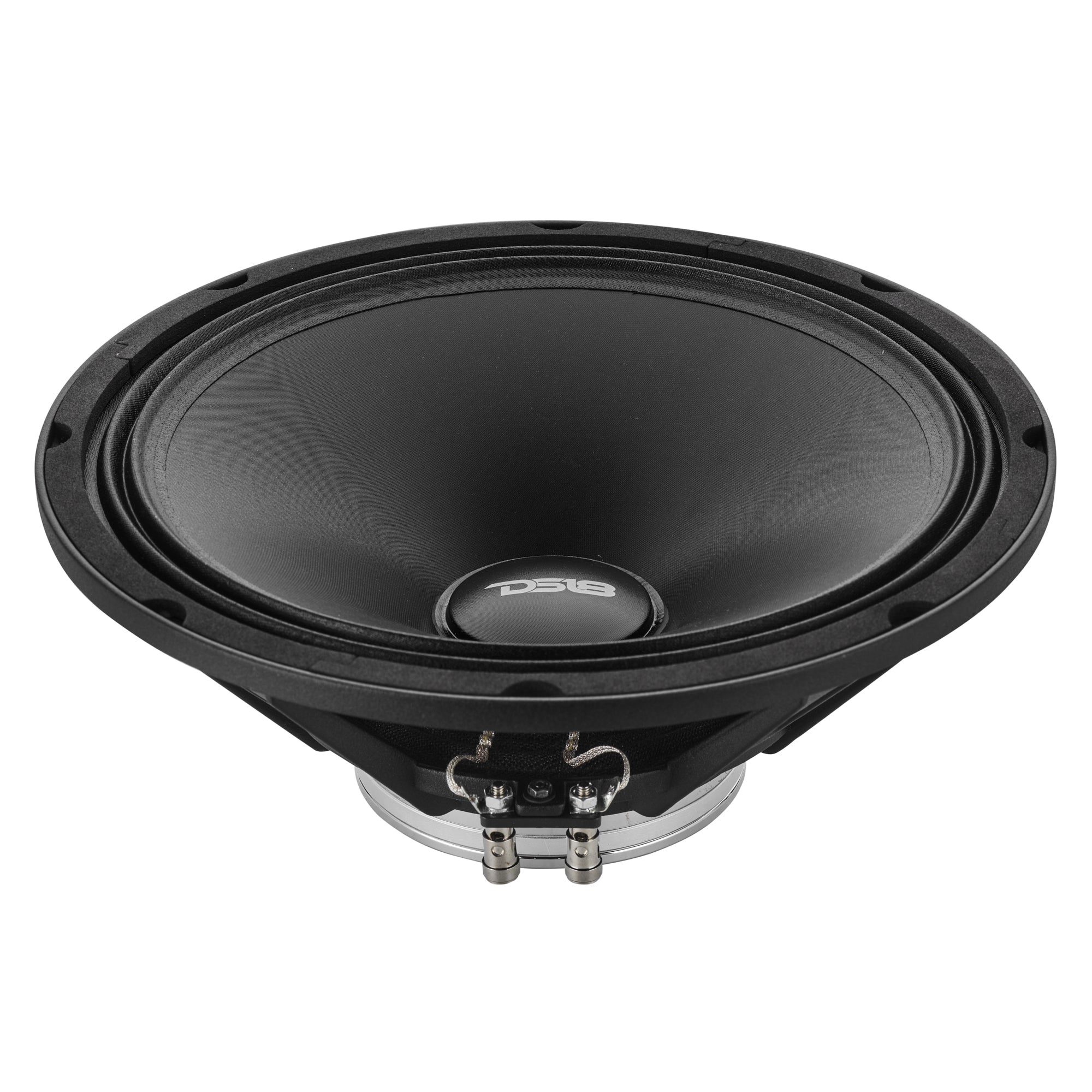 10” Full-Range Speaker With Water-Resistant Cone and Neodymium Magnet | 300W RMS 4-Ohm - DS18