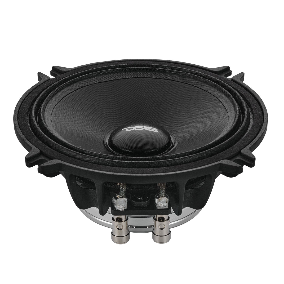 5.25” Full-Range Neodymium Speaker With Water-Resistant Cone | 150W RMS 4-Ohm - DS18