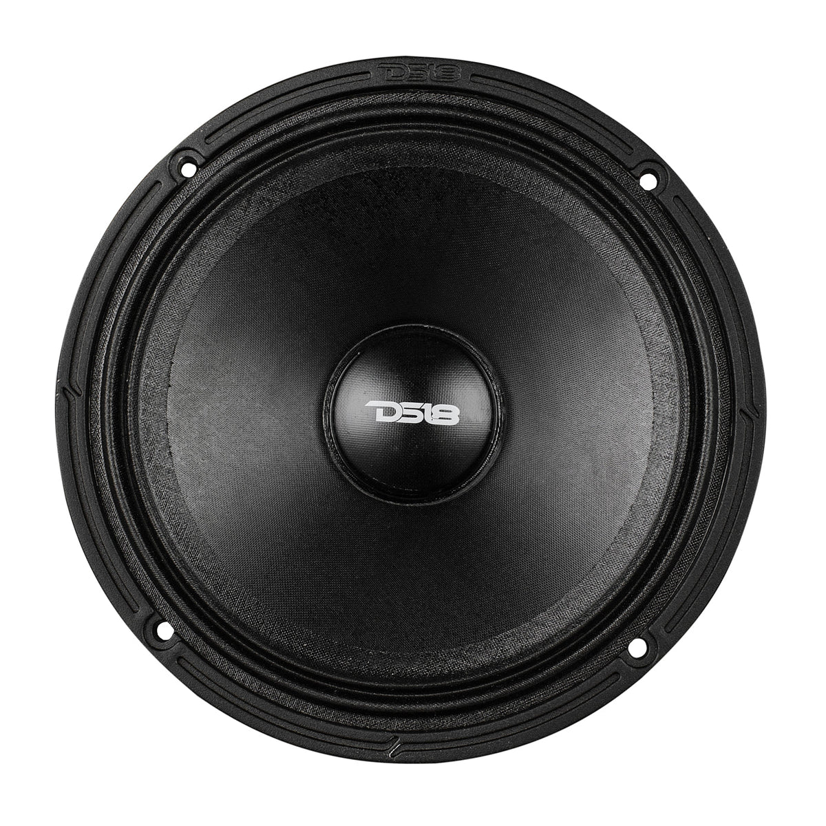 6.5” Full-Range Neodymium Speaker With Water-Resistant Cone | 250W RMS 2-Ohm - DS18