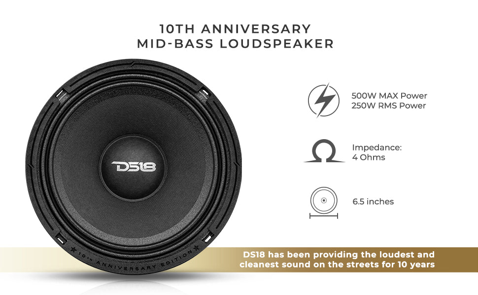 10th Anniversary Edition 6.5" Mid-Bass Loudspeaker 250 Watts Rms 4-Ohm - DS18