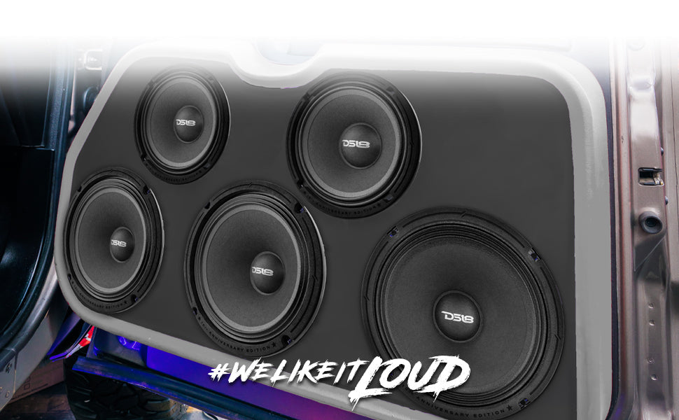 10th Anniversary Edition 6.5" Mid-Bass Loudspeaker 250 Watts Rms 4-Ohm - DS18