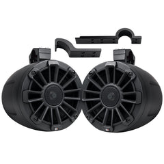 NPT1-116BBG UTV Tuned Speaker System