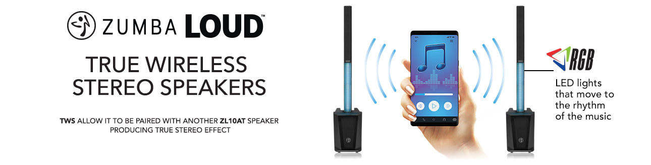 DS18 ZL-10AT exclusive ZUMBA LOUD Powered All In One Line Array 10" Tower Speaker System with MP3 USB & TWS BT 1000 Watts