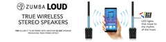 DS18 ZL-10AT exclusive ZUMBA LOUD Powered All In One Line Array 10" Tower Speaker System with MP3 USB & TWS BT 1000 Watts