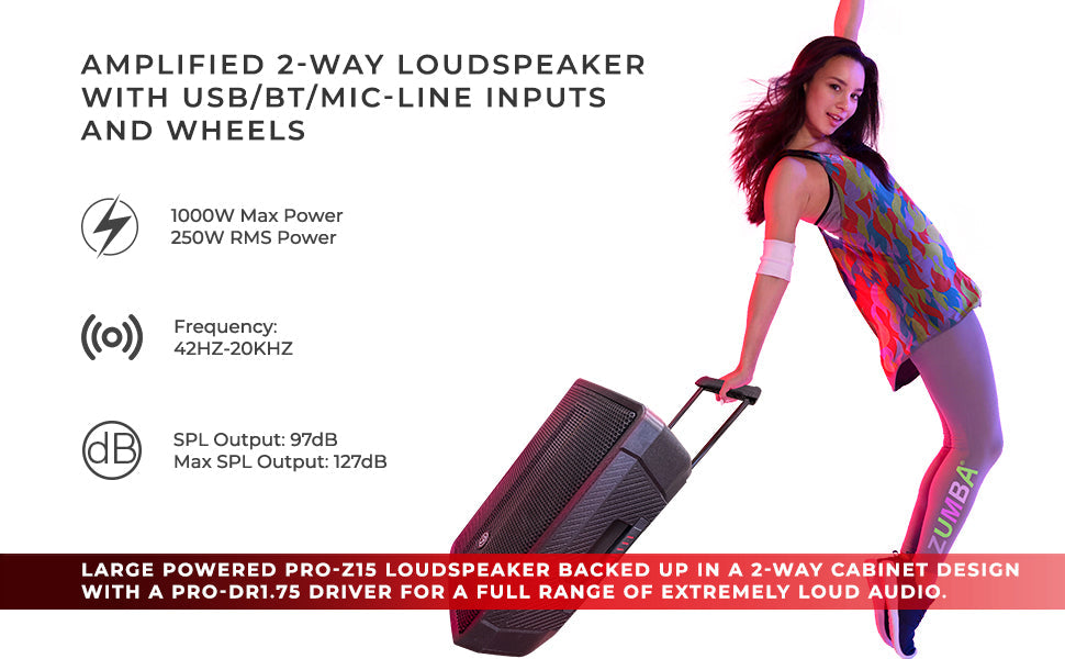 ZUMBA LOUD 15" High-Powered Amplified Professional Speaker System With Bluetooth and TWS 1000 Watts - DS18