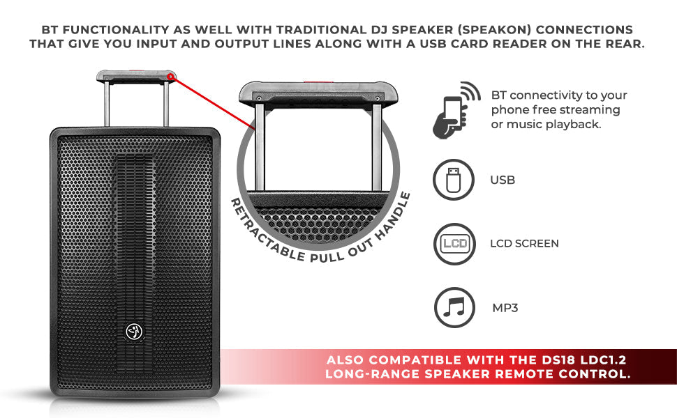 ZUMBA LOUD 15" High-Powered Amplified Professional Speaker System With Bluetooth and TWS 1000 Watts - DS18
