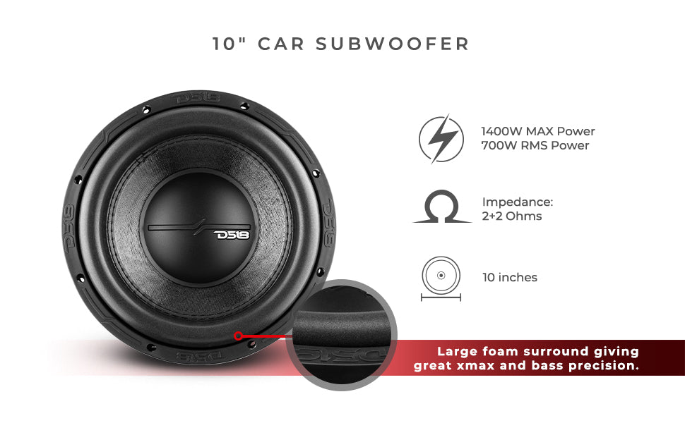 ZR 10" Subwoofer 700 Watts Rms DVC 2-Ohm - DS18