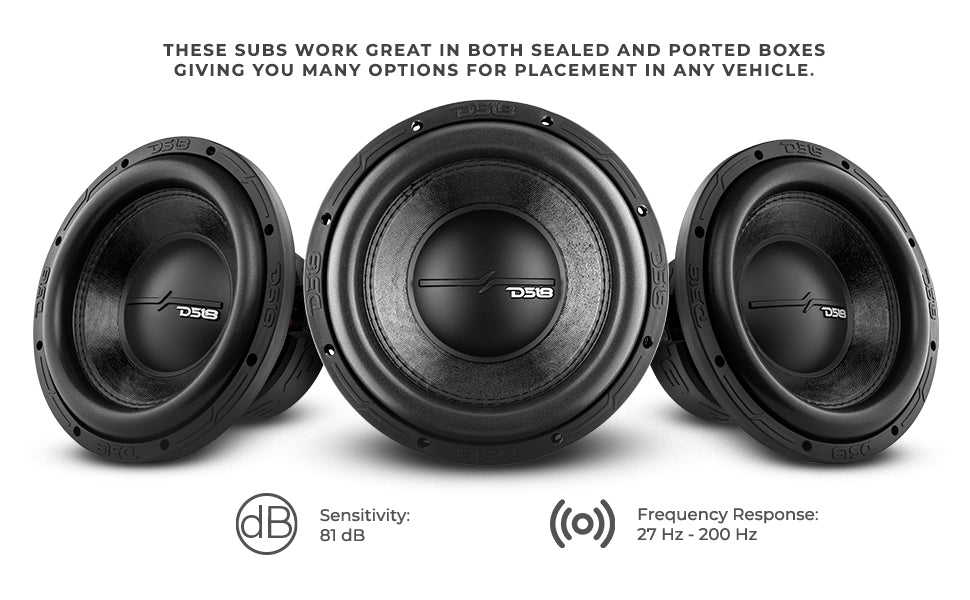 ZR 10" Subwoofer 700 Watts Rms DVC 4-Ohm - DS18