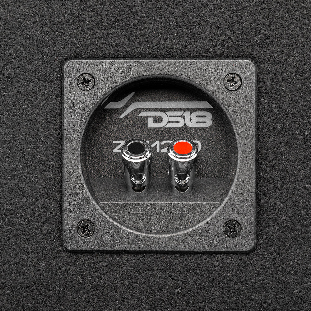 12" Loaded Subwoofer Ported Enclosure With ZR12.2D 800 Watts Rms - DS18