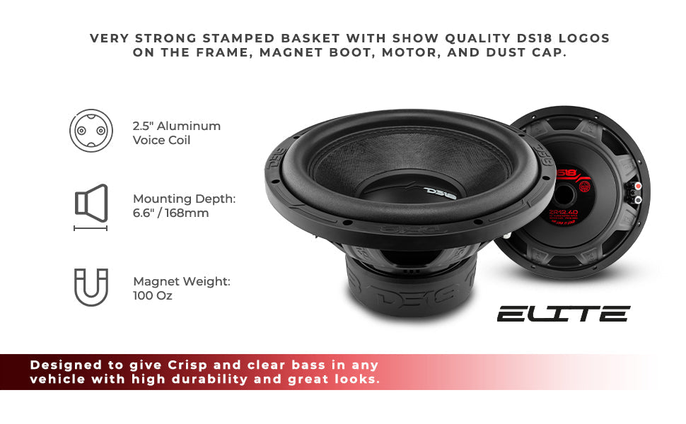 ZR 12" Subwoofer 750 Watts Rms DVC 4-Ohm - DS18