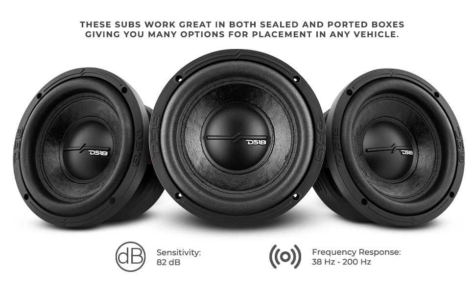 ZR 6.5" Subwoofer 300 Watts Rms DVC 2-Ohm - DS18