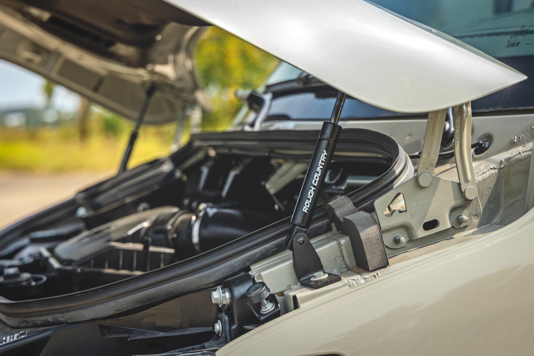 Hood Struts | Mercedes-Benz Sprinter 3500 (19-22)/Sprinter 3500XD (19-26)