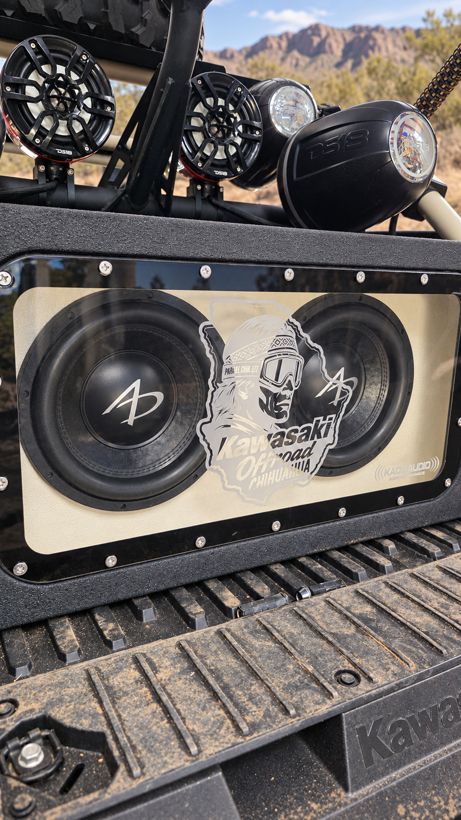 Acrylic viewing panel detail on Kawasaki KRX dual 10-inch bandpass enclosure