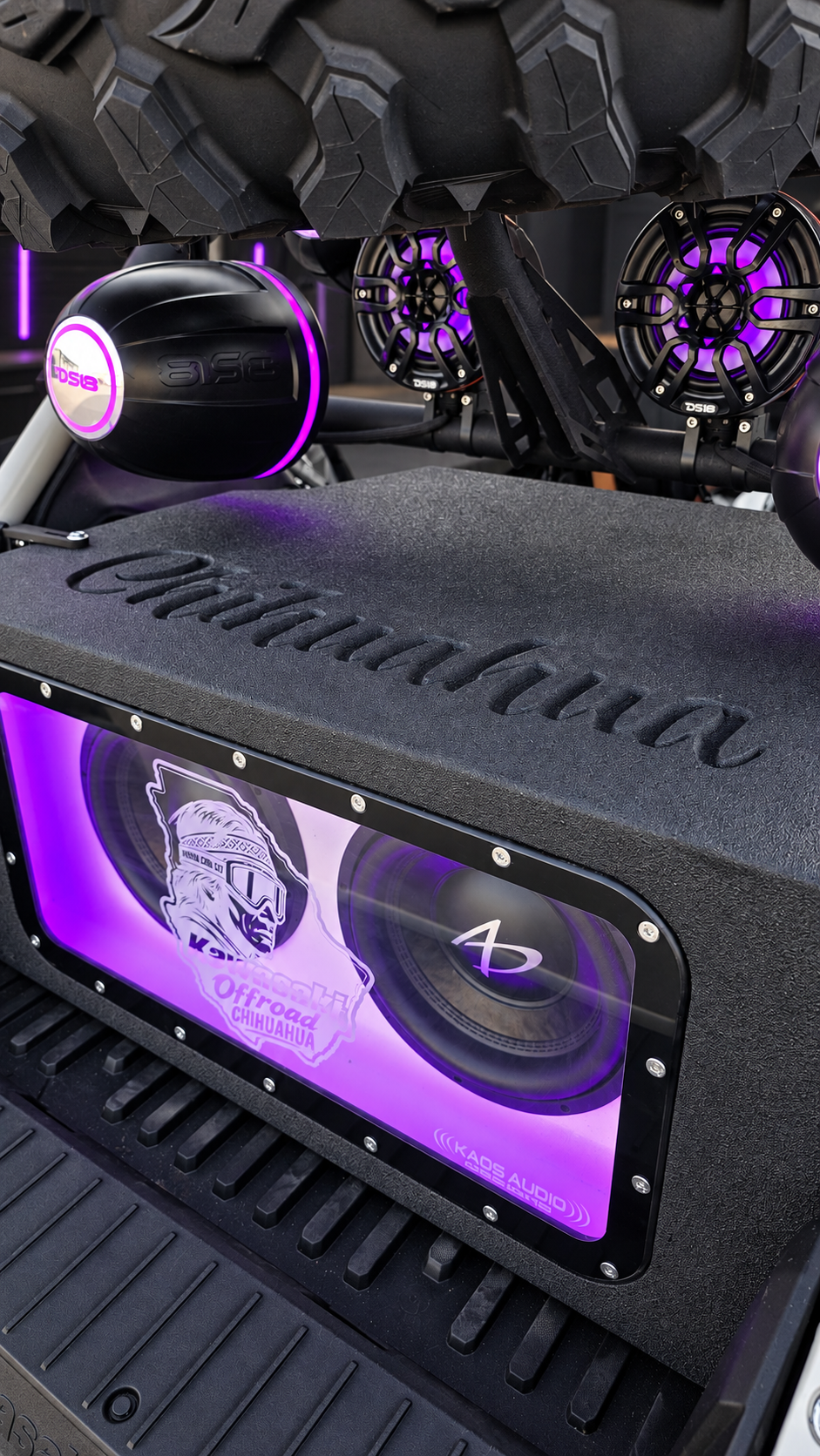 Close-up of Kaos KRX dual 10-inch fourth-order enclosure and acrylic panel