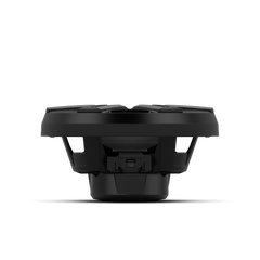 M2 10" DVC 2Ω Color OptixTM Sealed Enclosure Marine Subwoofer - Black