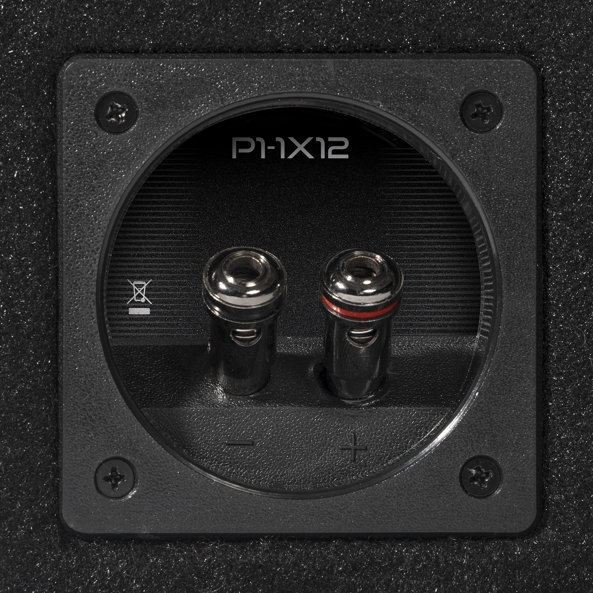 P1-1X12 - Punch Single P1 12" Loaded Enclosure - image 6