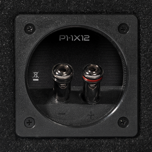 P1-1X12 - Punch Single P1 12" Loaded Enclosure - image 6