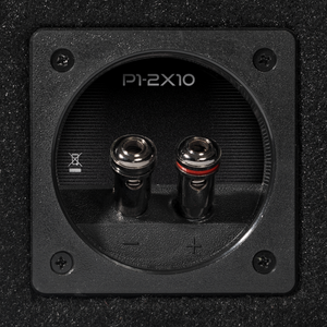 P1-2X10 - Punch Dual P1 10" Loaded Enclosure - image 4