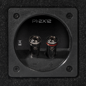 P1-2X12 - Punch Dual P1 12" Loaded Enclosure - image 6
