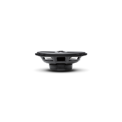 Punch 4"x6" 2-Way Full Range Speaker (pr)