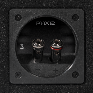P2-1X12 - Punch Single P2 12" Loaded Enclosure - image 2