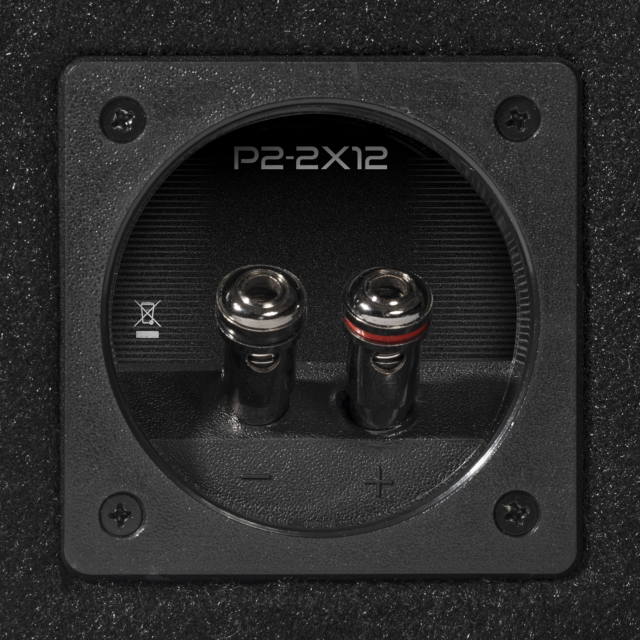 P2-2X12 - Punch Dual P2 12" Loaded Enclosure - image 6