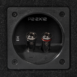 P2-2X12 - Punch Dual P2 12" Loaded Enclosure - image 6