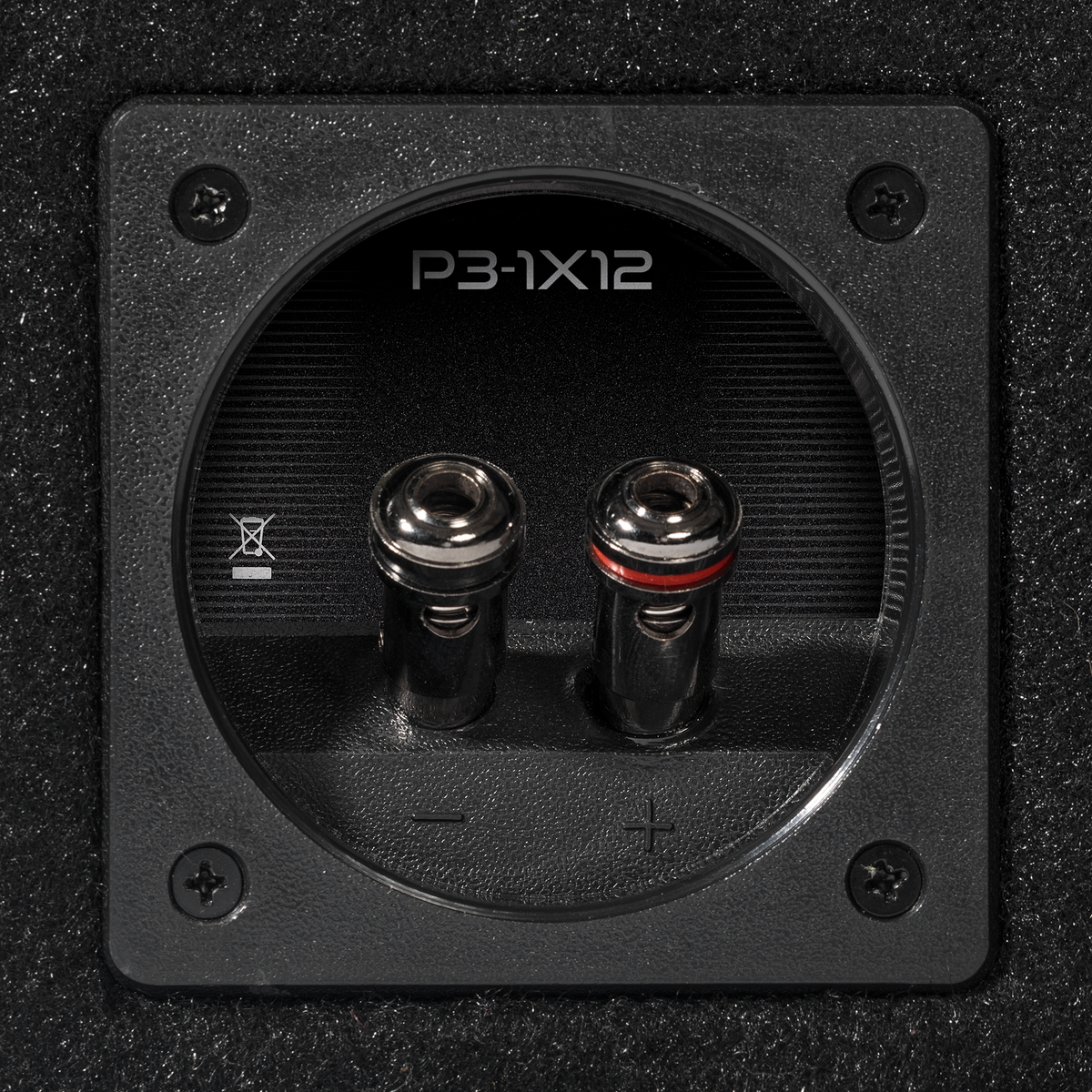 P3-1X12 - Punch Single P3 12" Loaded Enclosure - image 5