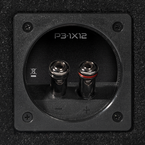 P3-1X12 - Punch Single P3 12" Loaded Enclosure - image 5