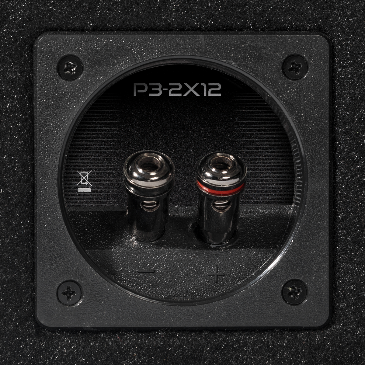 P3-2X12 - Punch Dual P3 12" Loaded Enclosure - image 3