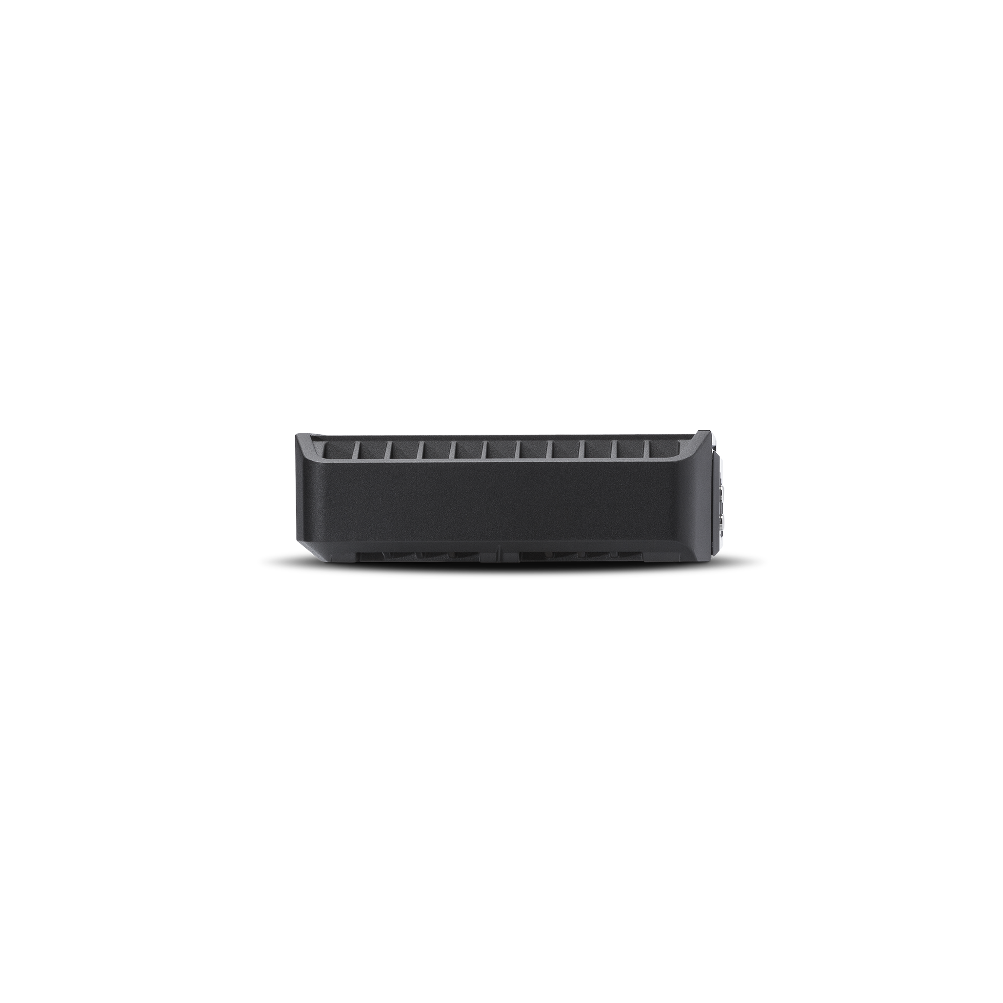 Punch 300 Watt Full-Range Mono Amplifier