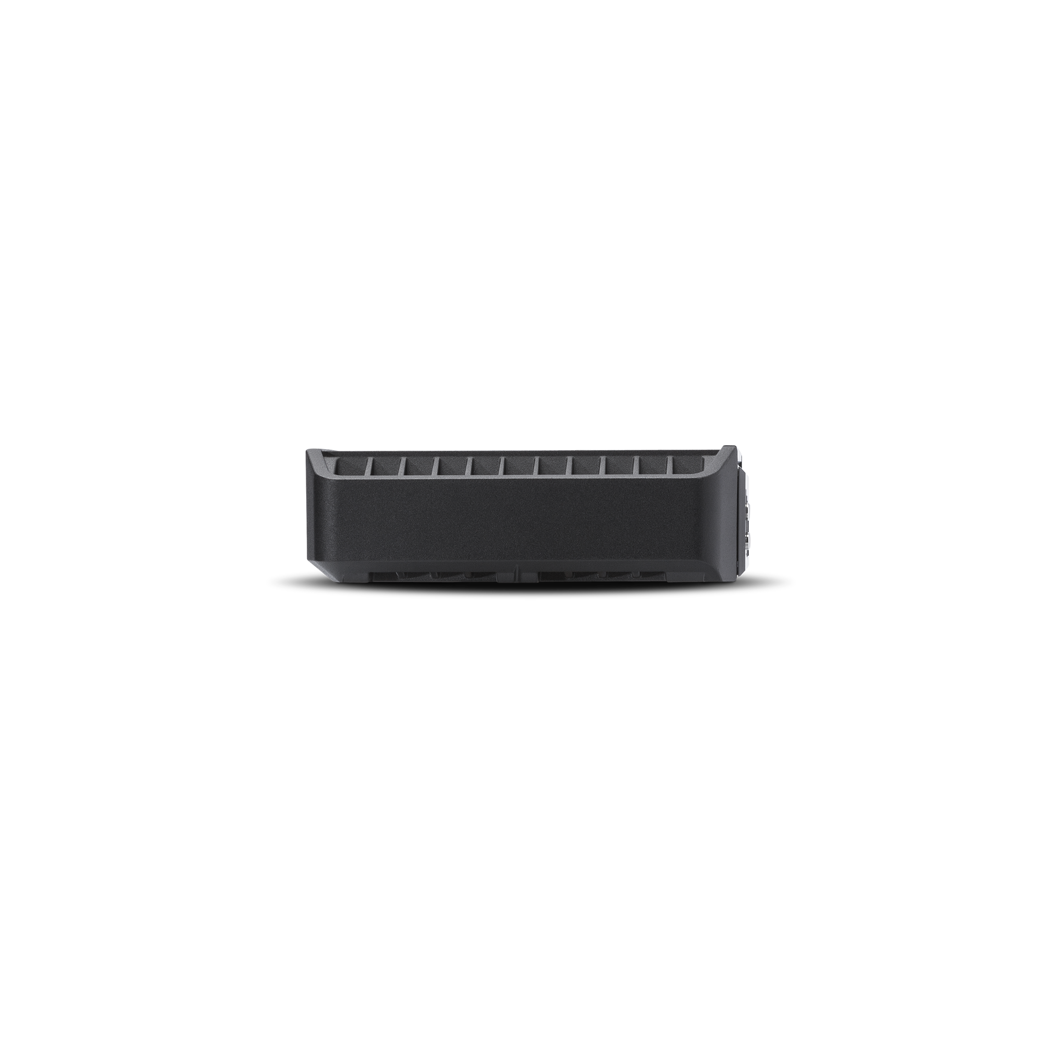 Punch 300 Watt Full-Range Mono Amplifier