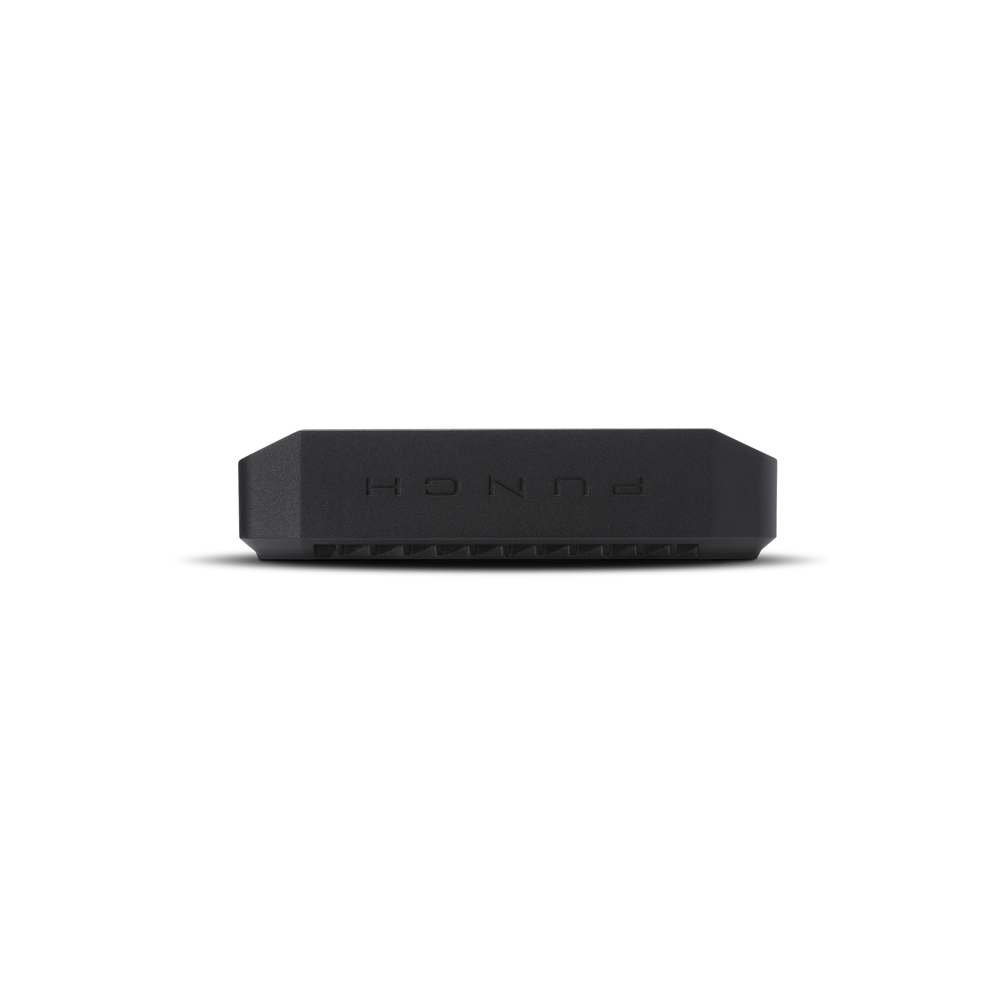 Punch 300 Watt Full-Range Mono Amplifier