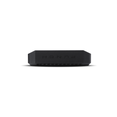 Punch 300 Watt Full-Range Mono Amplifier
