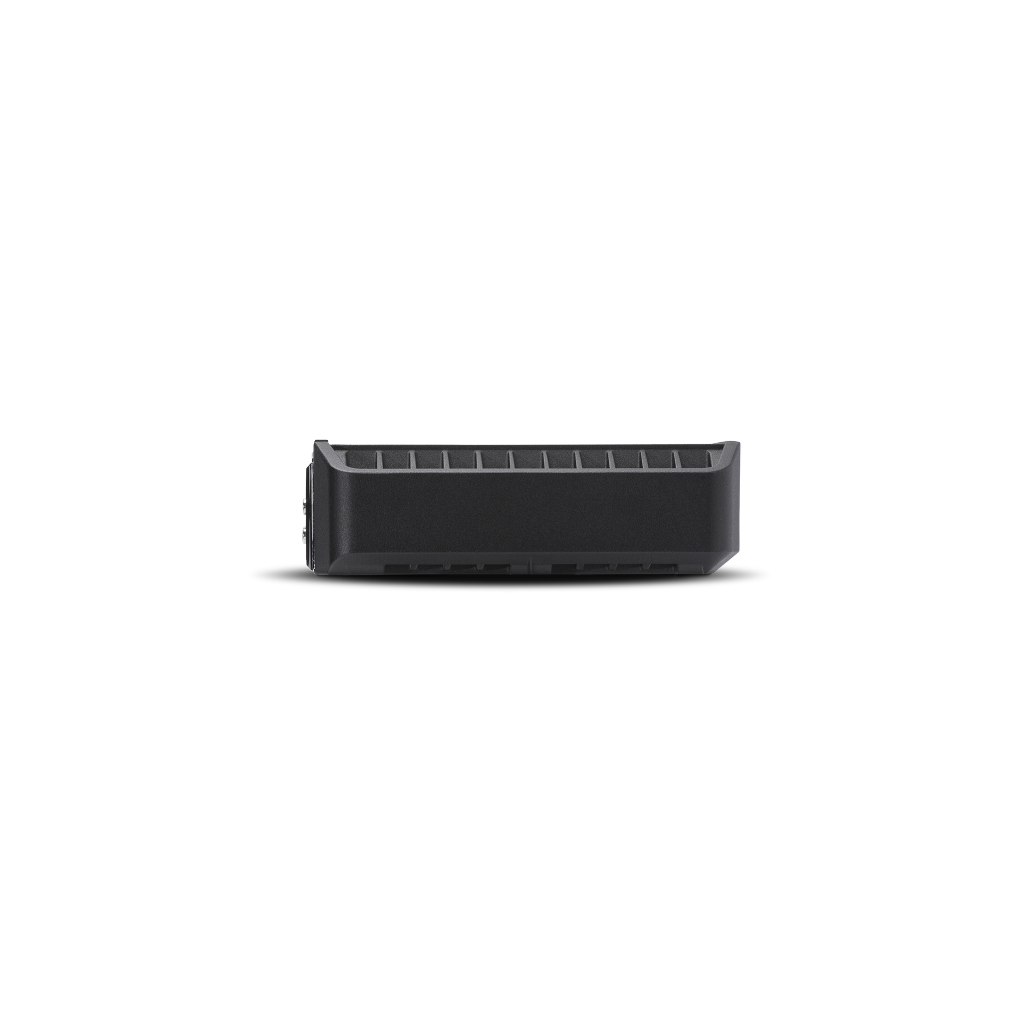 Punch 300 Watt Full-Range Mono Amplifier