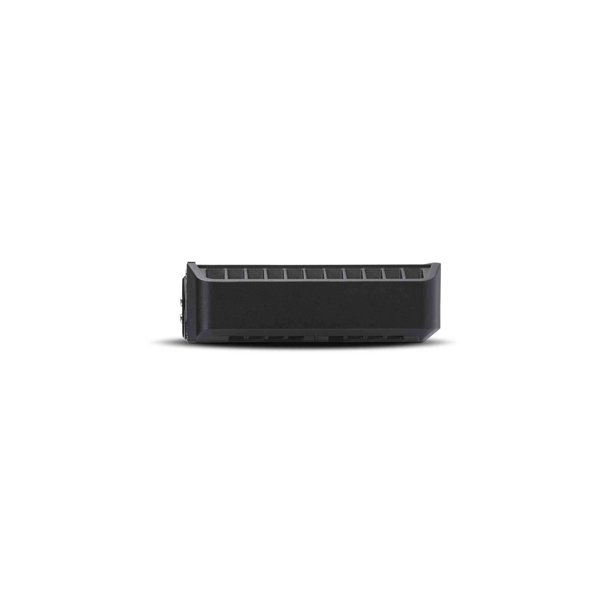 Punch 300 Watt Full-Range Mono Amplifier