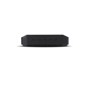 P300X2 - Punch 300 Watt 2-Channel Amplifier - image 4