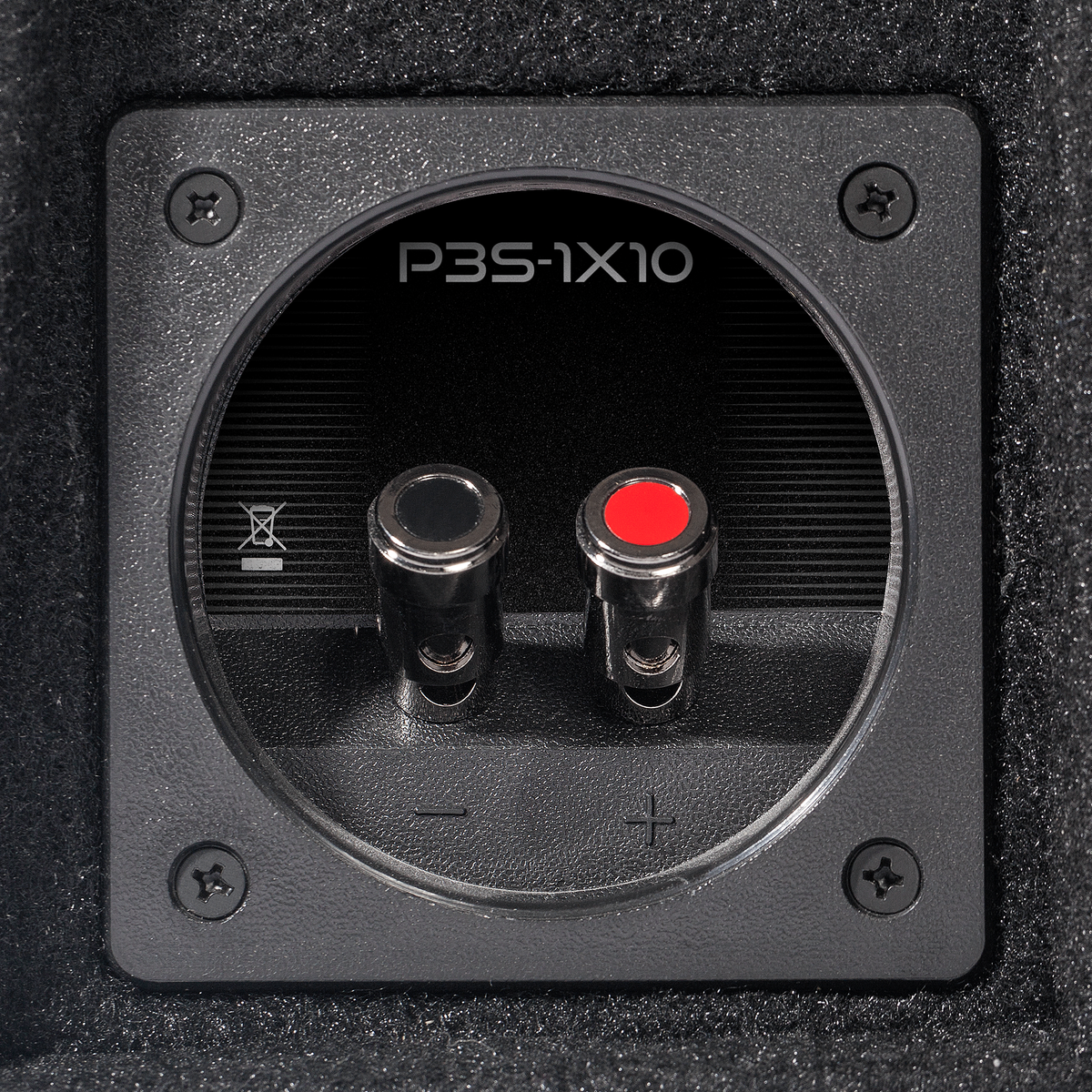 P3S-1X10 - Punch Single P3S 10" Shallow Loaded Enclosure - image 6