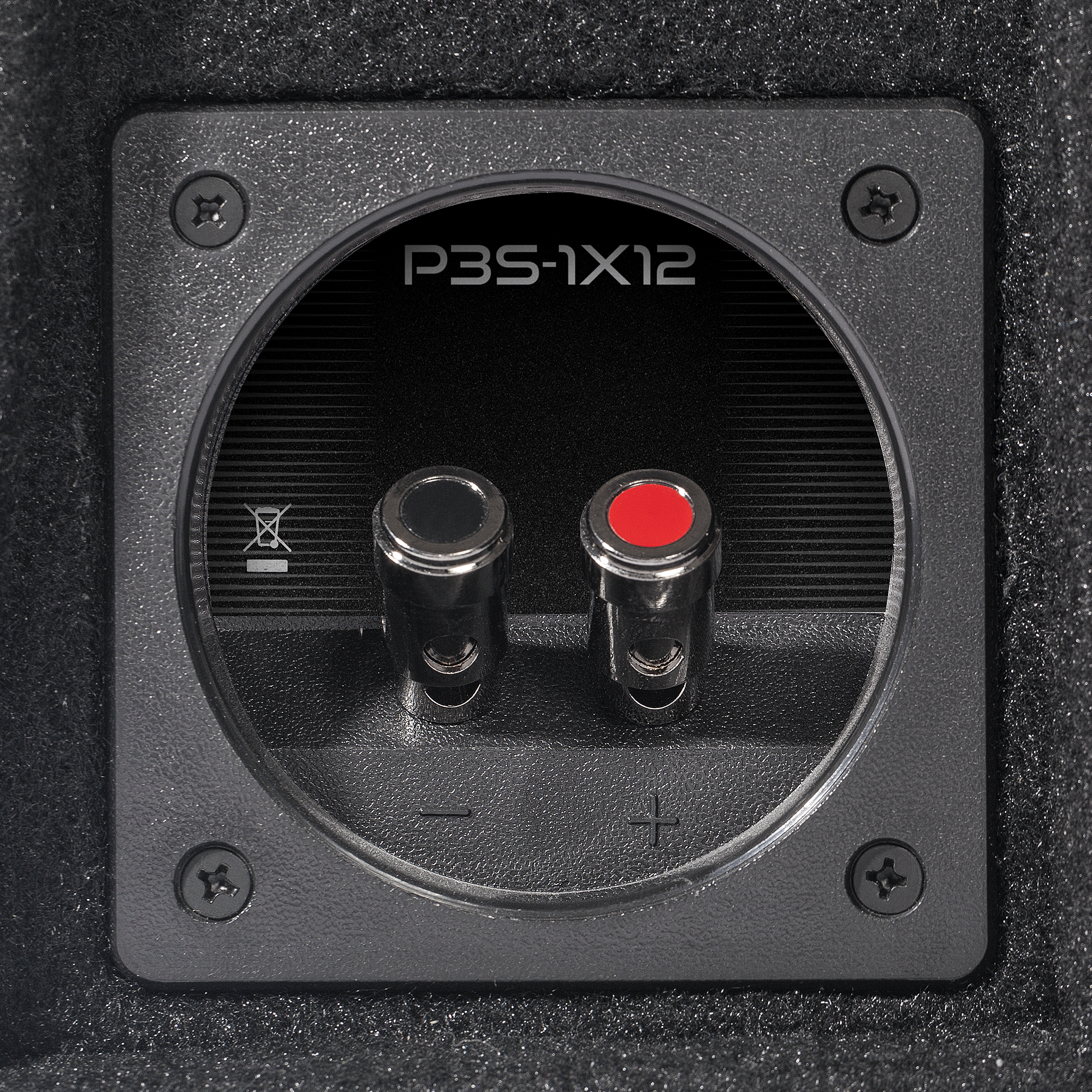 P3S-1X12 - Punch Single P3S 12" Shallow Loaded Enclosure - image 1