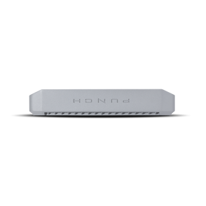 PM1000X1BD - Punch Marine 1,000 Watt Class-bd Mono Amplifier - image 5
