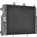 Polaris RZR Heavy-Duty Radiator