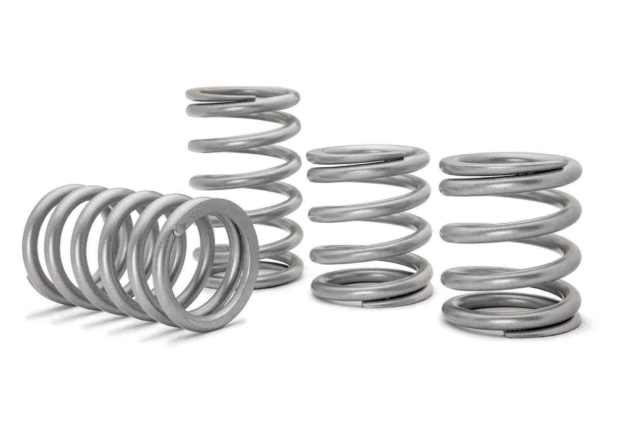 Polaris RZR PRO XP Tender Springs