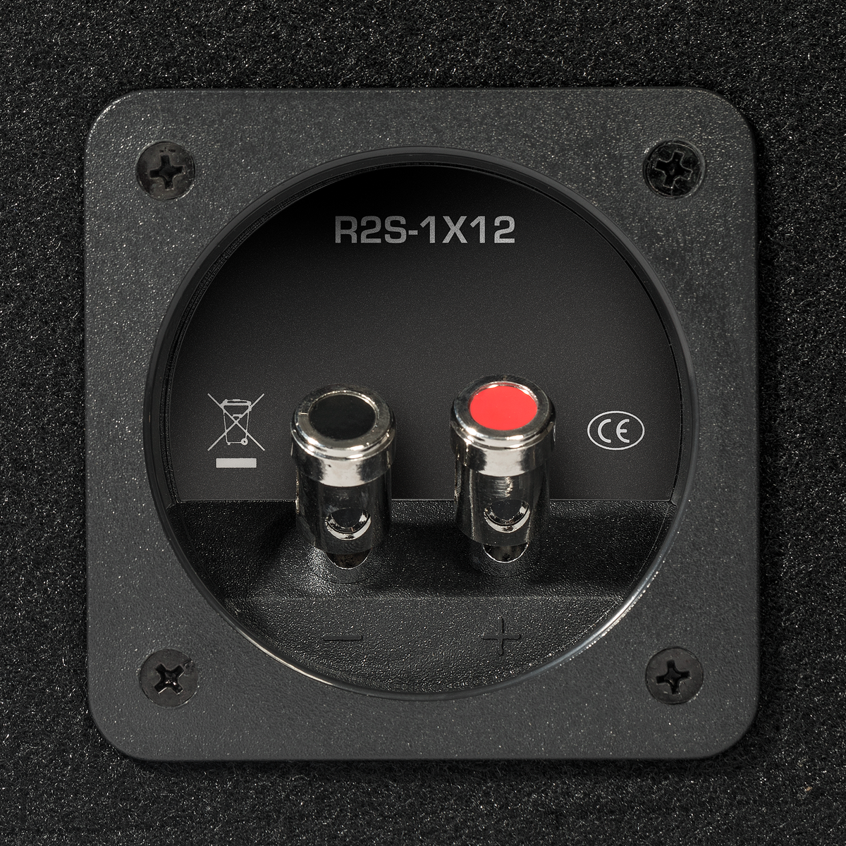 R2S-1X12 - Prime 12" R2S Shallow Loaded Enclosure - image 2