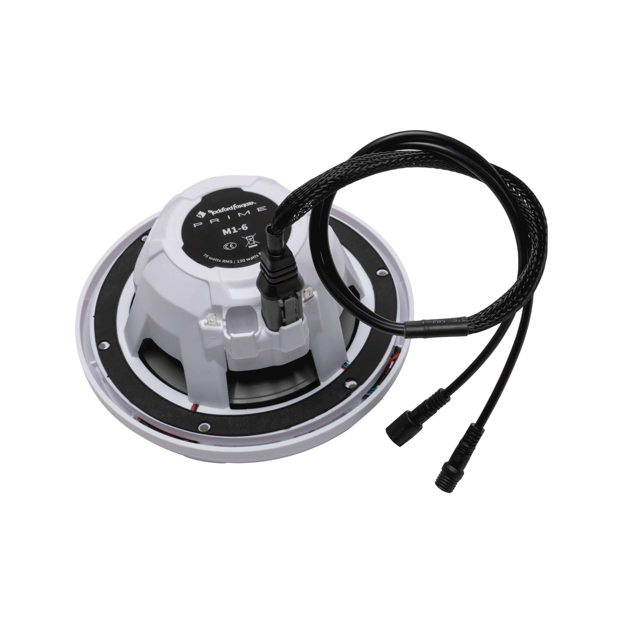 4-Pin Color Optix™ Y-Adaptor for PMX-RGB (Gen-2)