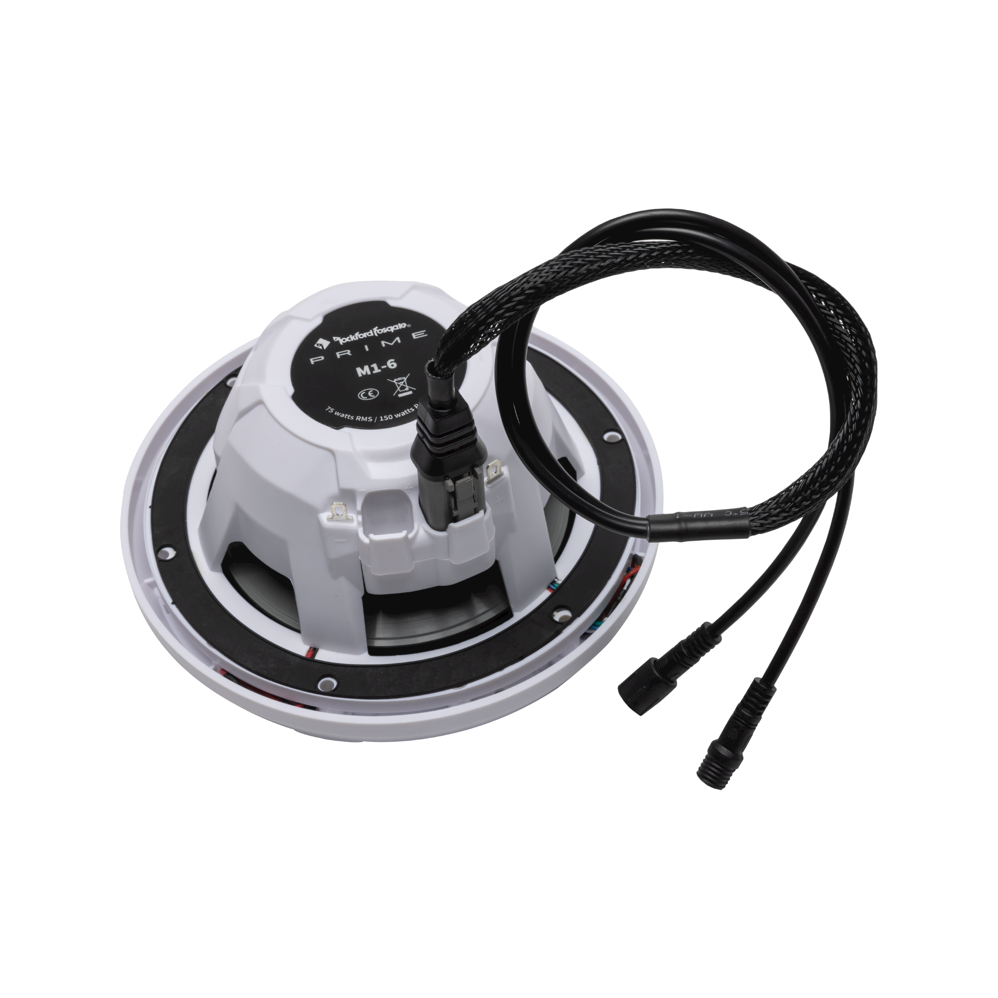 4-Pin Color OptixTM Y-Adaptor for PMX-RGB (Gen-2)