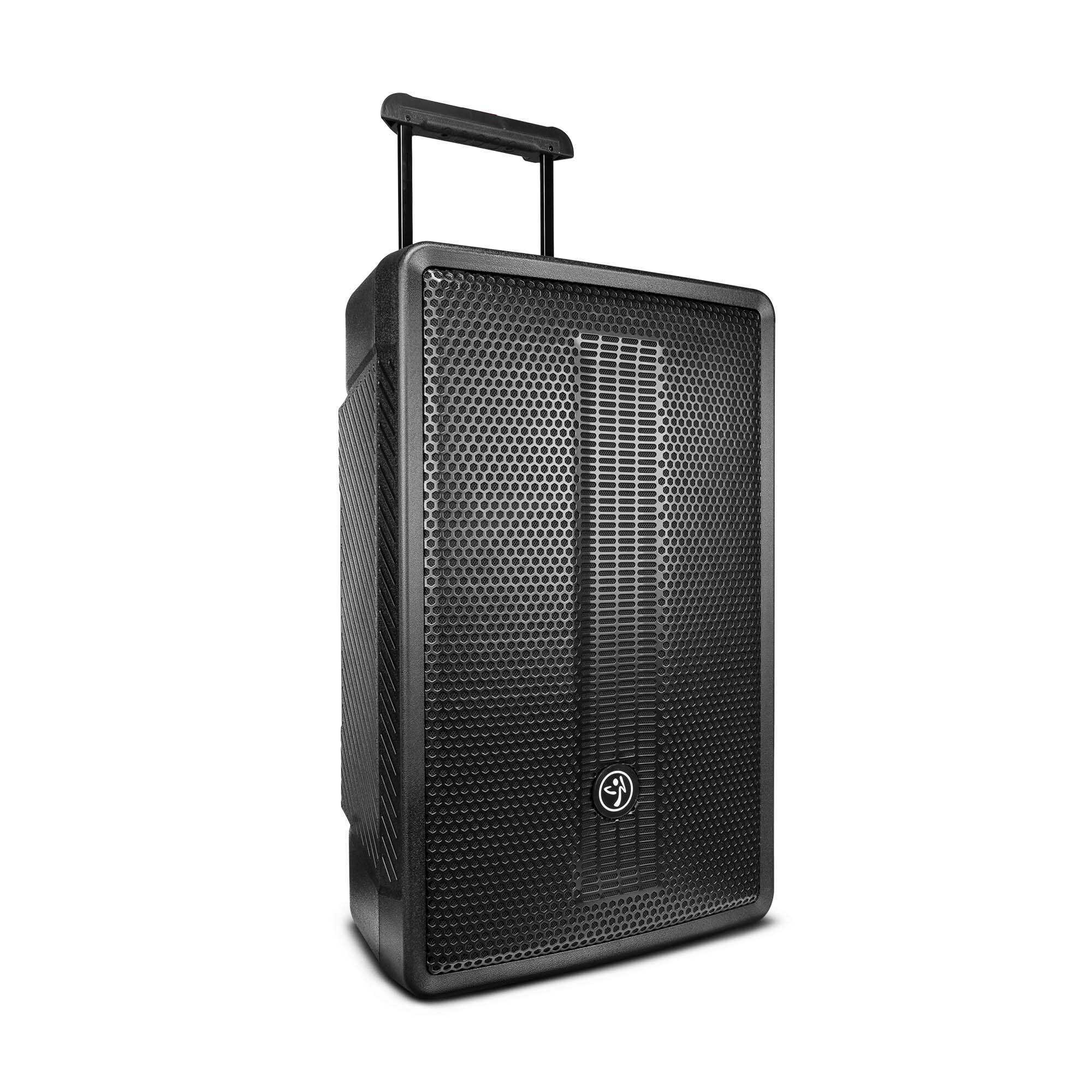 ZUMBA LOUD 15" High-Powered Amplified Professional Speaker System With Bluetooth and TWS 1000 Watts - DS18